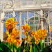 Victorian-greenhouse_square