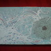 Dsc03572_thumb