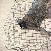 Img_0508_card