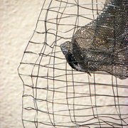 Img_0515_card