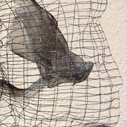 Img_0533_card
