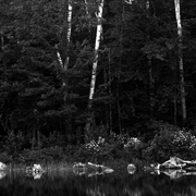 Basin_pond_card