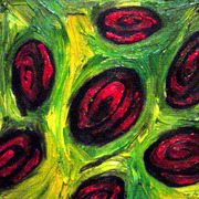 Rose_bush_card