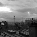 Everything_082__48__square