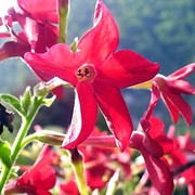Photog3_card