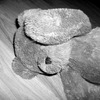 S7302344_thumb