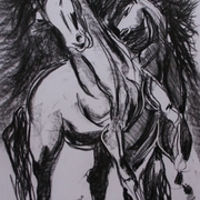Horses_ix_card