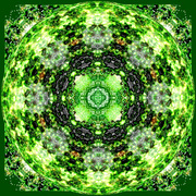 Bliss_card