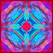 Mdd_copy_card