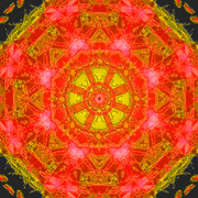 Revolve_card