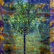 Der_junge_olivenbaum_card