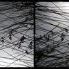 1952541-6-stillness-and-light_watermark_thumb