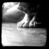 1928622-5-his-feet_watermark_thumb