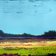 Campo_3_card