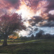El_momento_card