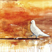 Lm__oleo_018_card