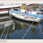 Barcos4_card