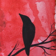 100_6804_card