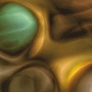 Polymorphism_37_card