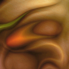 Polymorphism_38_thumb