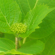 P1020244_card