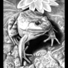 Frog_thumb