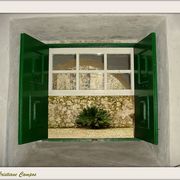 Museu1ok_card