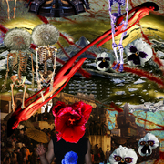 Nervures_card
