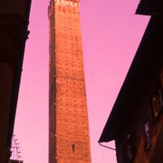 Lucca_rosa_card