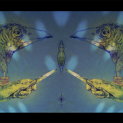 Simetria_natural_web__card