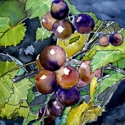 Grape_vine_fruit_painting_card