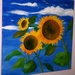 Floarea_soarelui_square