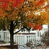 Autumn_42_cl_thumb