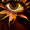 Eyeseeyou_thumb
