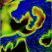 Blue_flame_dragon_card