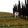 Landscape_002_thumb