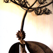 La_berce_card