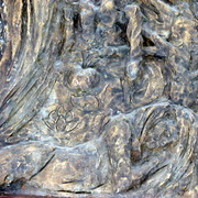 Img_8651_card