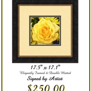 Yellow_rose_frame_print_card