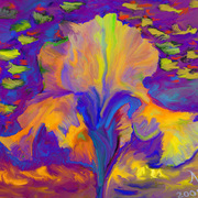 331-1-iris_alexandr_a_little_lab_card