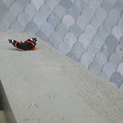 Img_1006_card