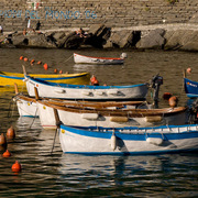 It-cince-terre-5129_card