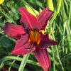 Dscf0132_thumb