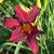 Dscf0132_tiny_square