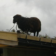 Img_1037002_card