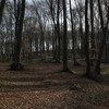 Img_9935_thumb
