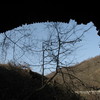 Img_9907_thumb