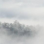 Img_5792_card