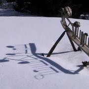 Img_0023_1_card