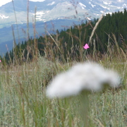 P1000169_card
